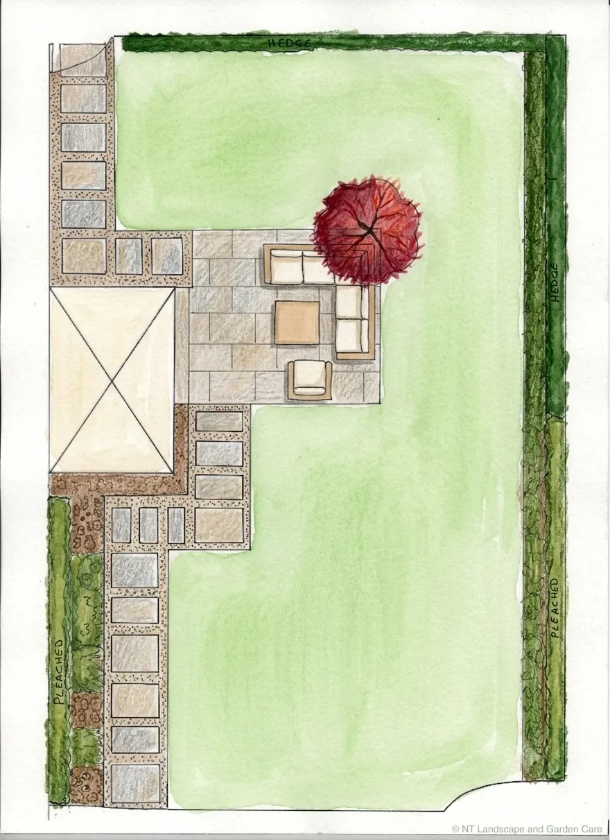 Concept sketch: a rectilinear paved terrace, modular planting bays along the boundary and a single acer
